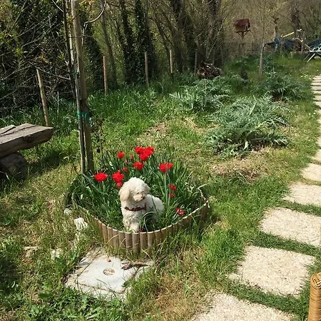 Il Bello Della Vita Bed & Breakfast